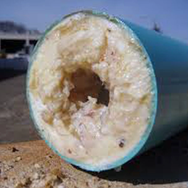 grease-trap-2 clogged grease trap